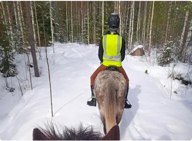 Ratsastusta ja alkeistunteja aloittelijoille Alavudella